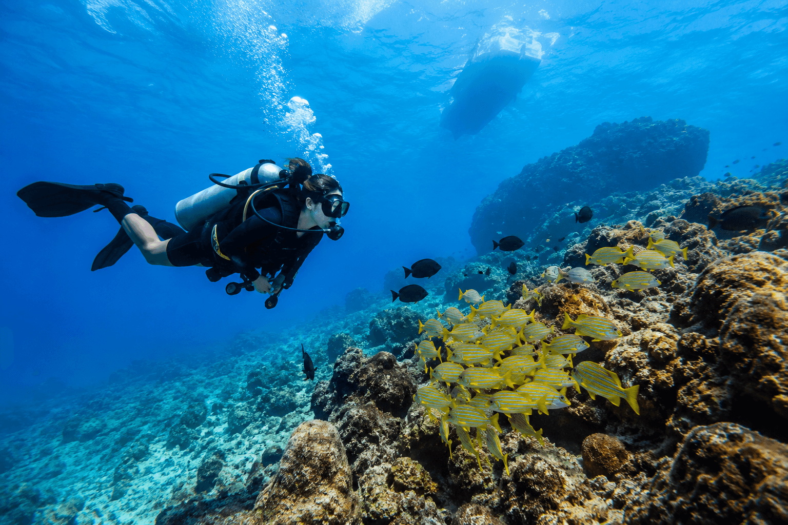 Boating, Fishing, and Diving From Playas del Coco